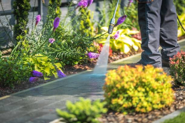 Best Driveway Pressure Washing  in Cadiz, OH